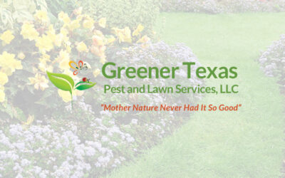 Greener Texas -New Customer Approves!