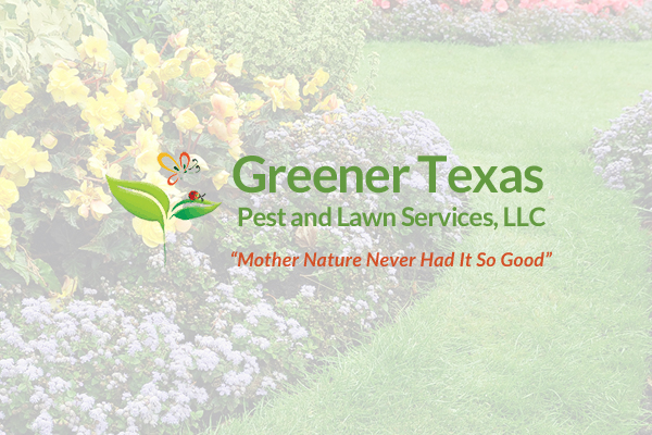 Greener Texas – A+ Rating with BBB